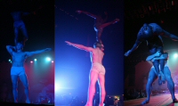 JC TE Collage cirque